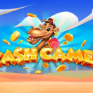 Cash Camel