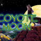 Coyote Moon