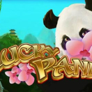 Lucky Panda